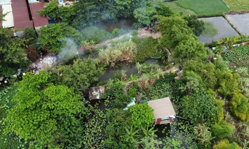 Hai anh em ruột đi chích cá bị điện giật chết