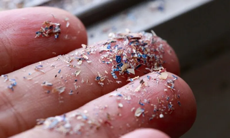 Hạt vi nhựa có thể xâm nhập vào rau củ chúng ta ăn mỗi ngày