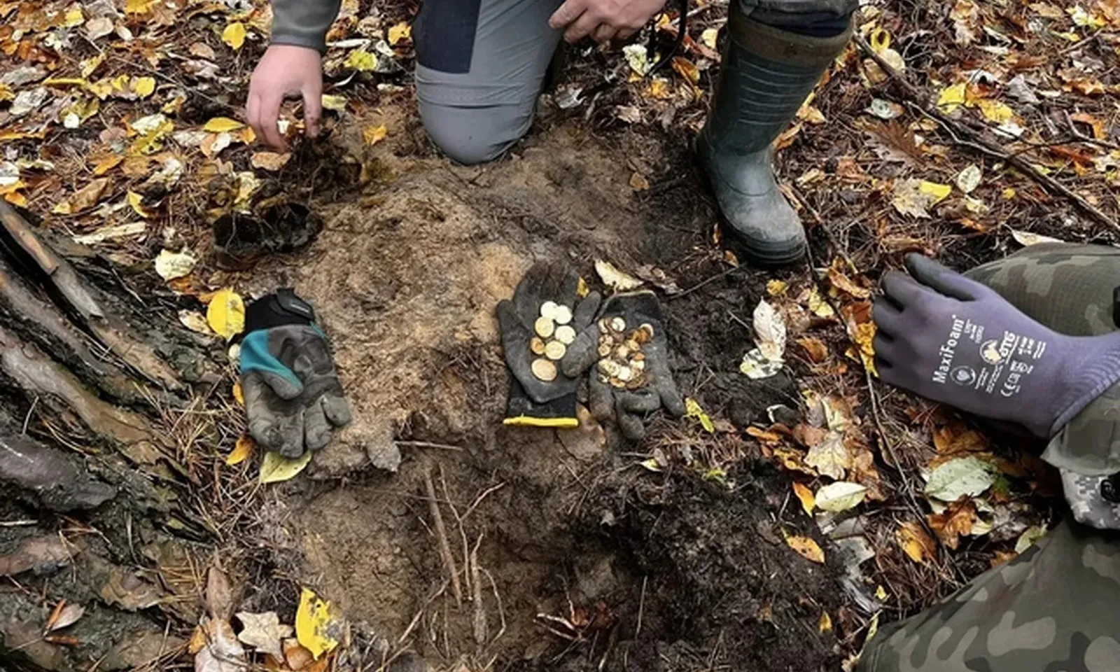 Vào rừng, nhóm thám hiểm phát hiện 70 đồng tiền vàng