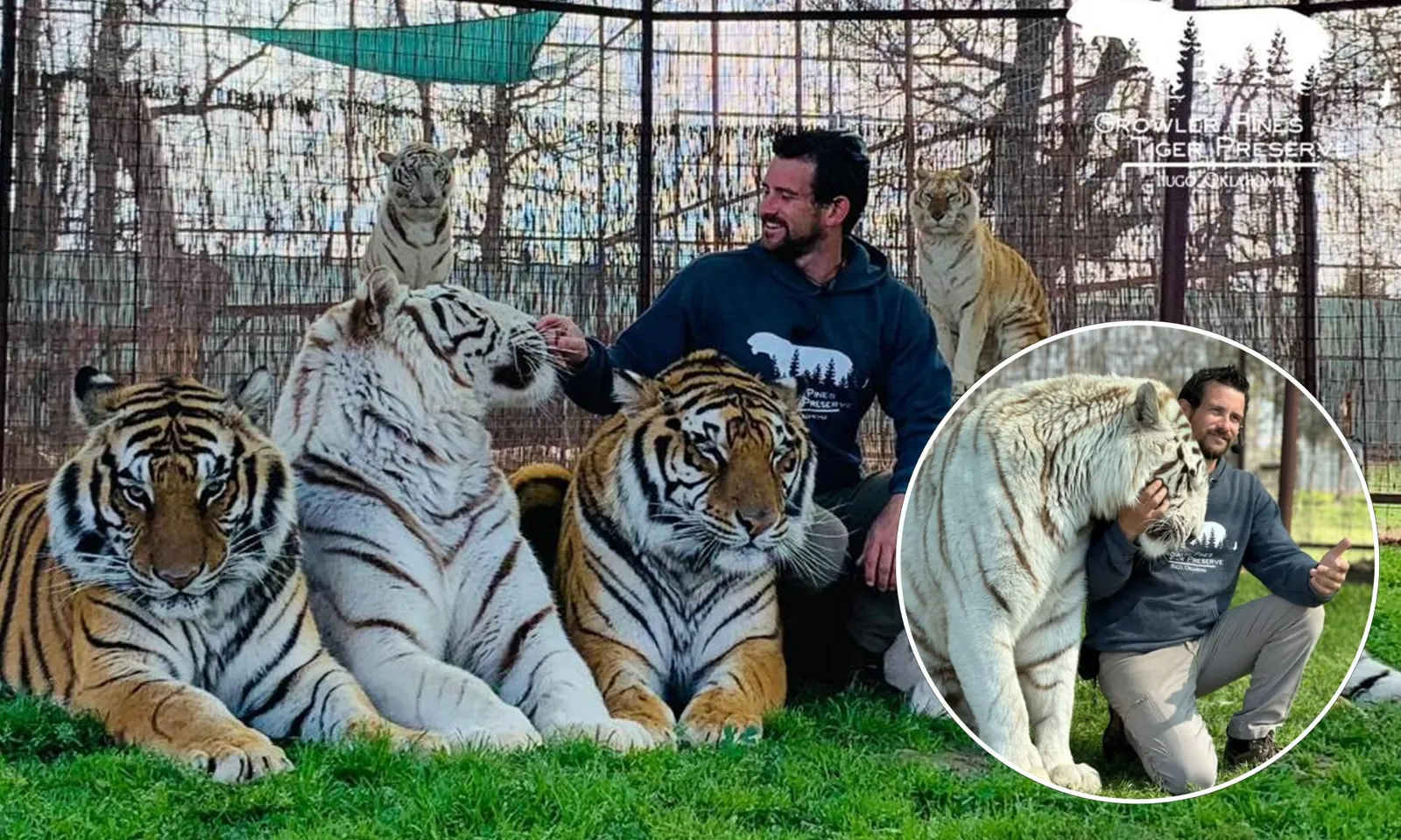 Người huấn luyện hổ bị hổ tấn công tử vong tại khu bảo tồn Oklahoma