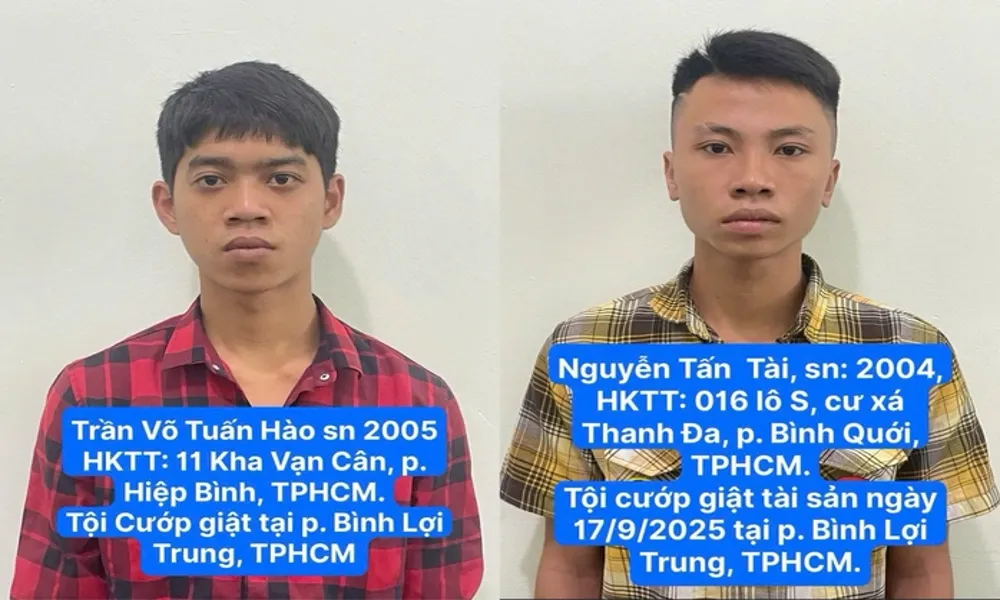 Cướp giật trong hẻm Bình Lợi Trung, hai đối tượng bị bắt sau 1 giờ