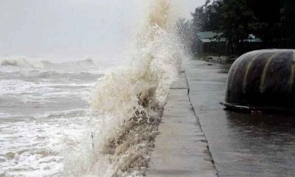 bao-17187948812371140603511-0-0-500-800-crop-17187950000721096430709-17526330481141646072783-175290533204722450566