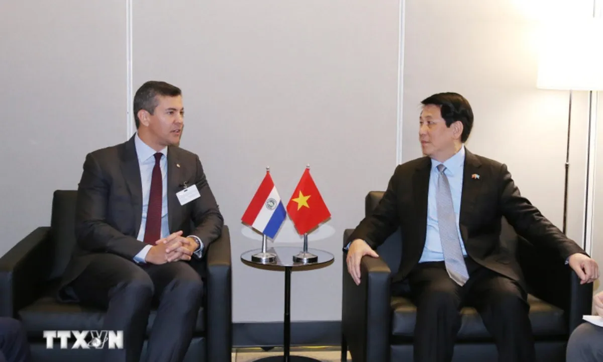 chu-tich-nuoc-luong-cuong-gap-tong-thong-paraguay-8290188