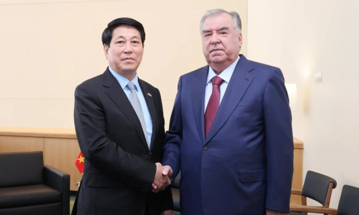 chu-tich-nuoc-luong-cuong-gap-tong-thong-tajikistan-8290080