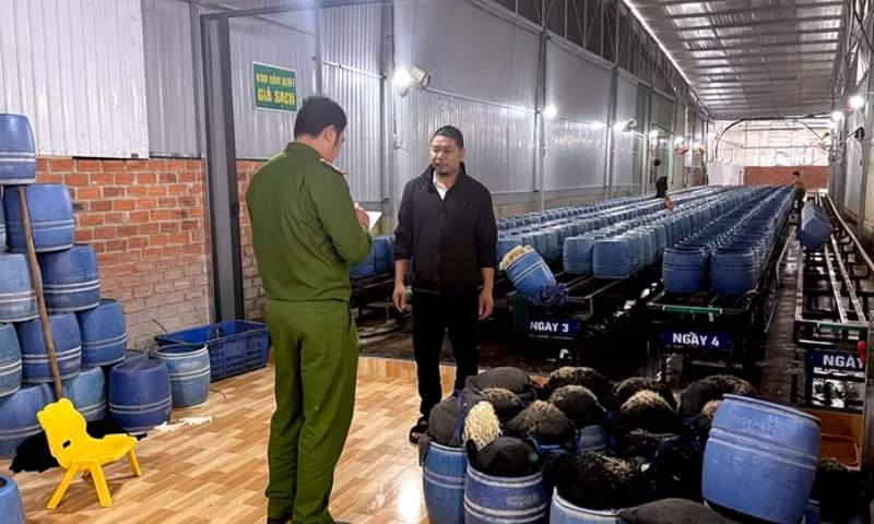 4 bị cáo vụ giá đỗ ngâm hóa chất lãnh án tù