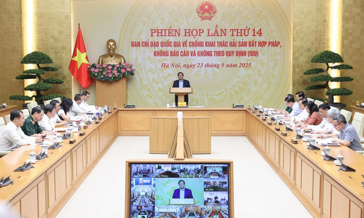 img1799-17586272321381690820878