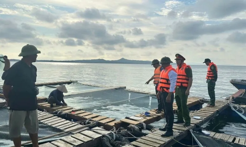 Nguy cơ dông lốc, mưa lớn tại Bắc Bộ do bão số 9