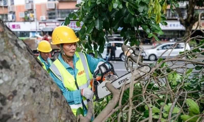 Trung Quốc đóng cửa trường học, hủy chuyến bay vì siêu bão 