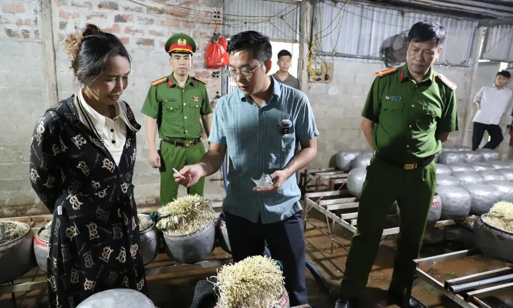 Phát hiện cơ sở sản xuất giá đỗ độc hại bằng hóa chất cấm tại Hà Tĩnh