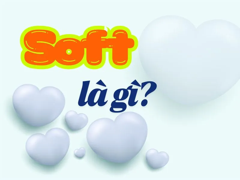 voh-soft-la-gi