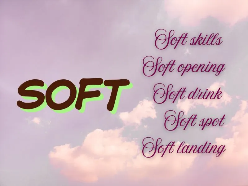 voh-soft-la-gi-2