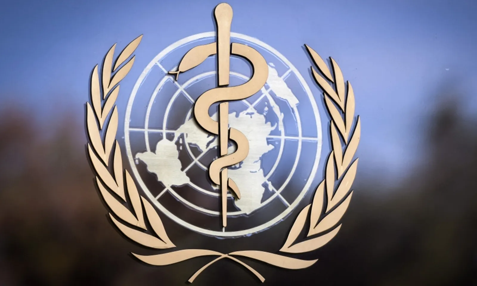 WHO khẳng định: Không có mối liên hệ nào giữa bệnh tự kỷ với Tylenol và vaccine