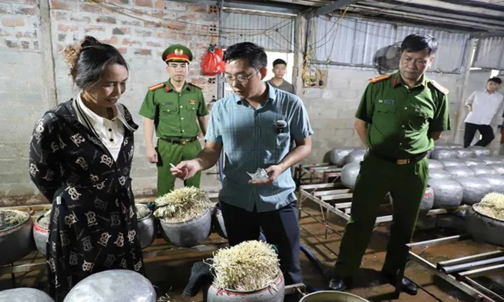 Lộ thủ đoạn dùng “nước kẹo” biến giá đỗ trắng, mập, giữ lâu