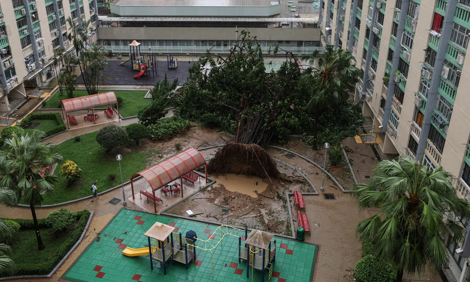 Hồng Kông mở cửa trở lại sau siêu bão mạnh nhất thế giới