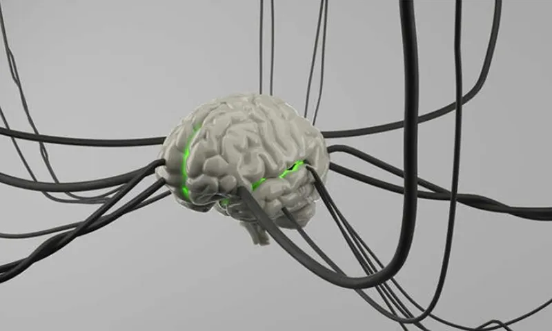 Thử nghiệm cấy ghép thần kinh ở bò để tăng sản lượng sữa