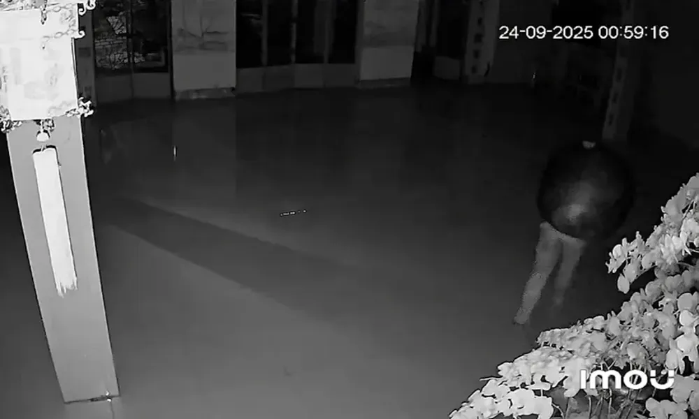 Trộm chuông chùa lúc rạng sáng, công an Tây Ninh khẩn trương điều tra