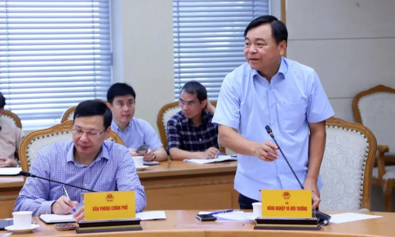 nguyen-hoang-hiep