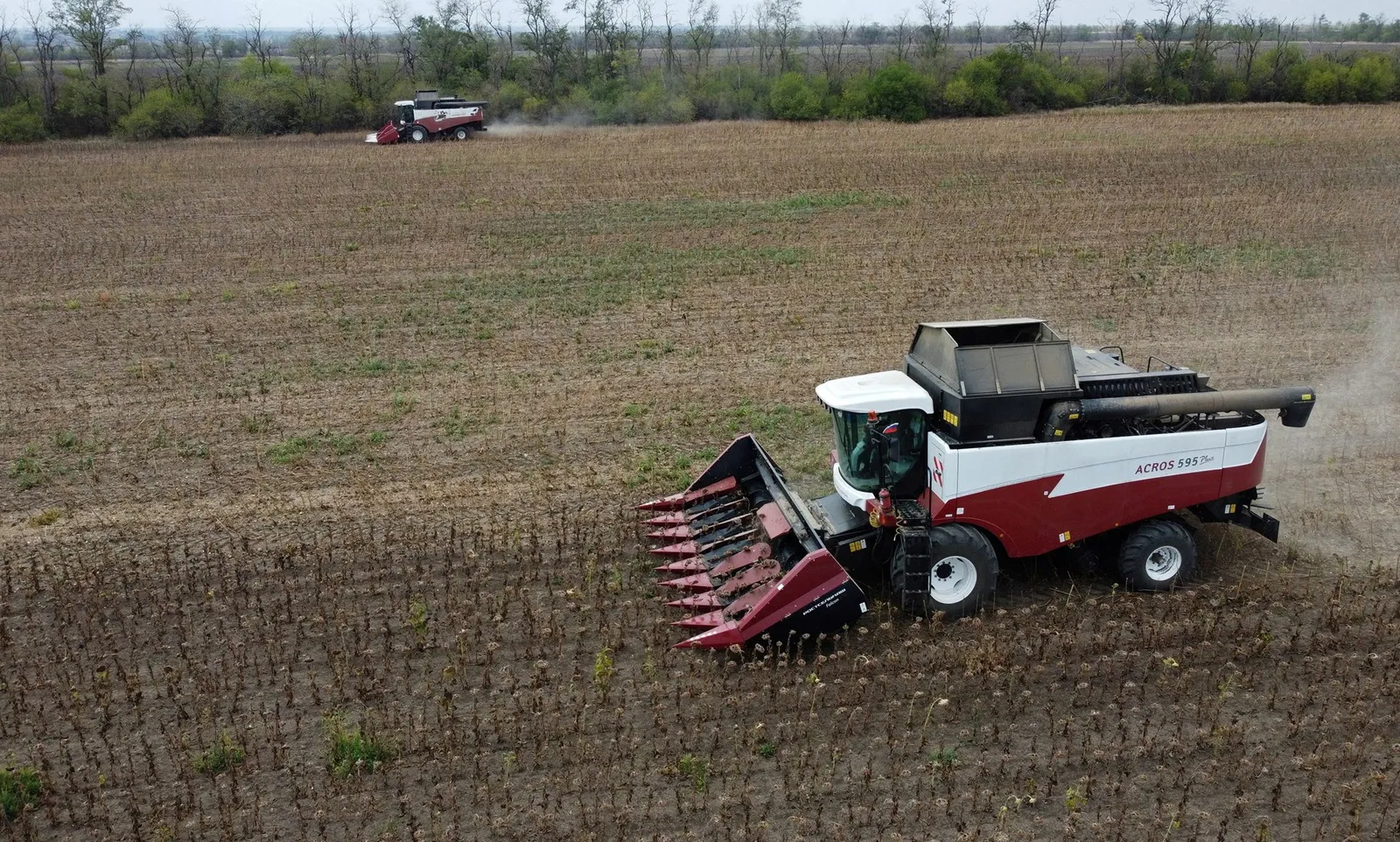 Nga đẩy mạnh xuất khẩu dầu hướng dương sang Ấn Độ