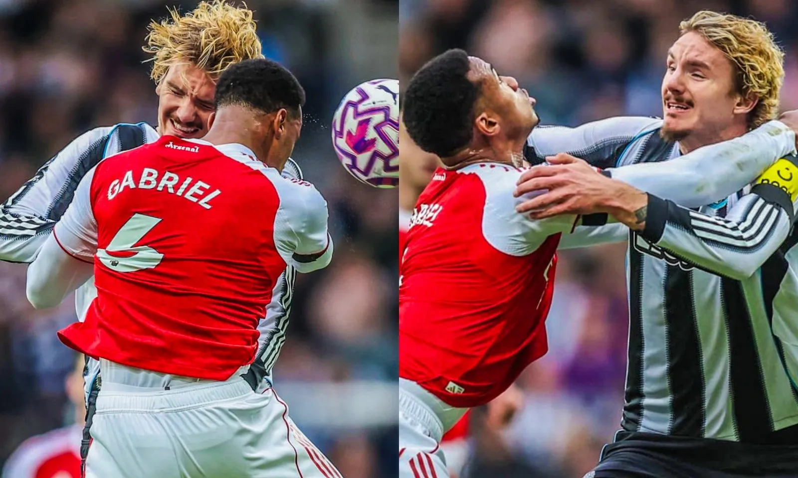 Tiền đạo Newcastle không chấp nhận cho Magalhaes xin lỗi