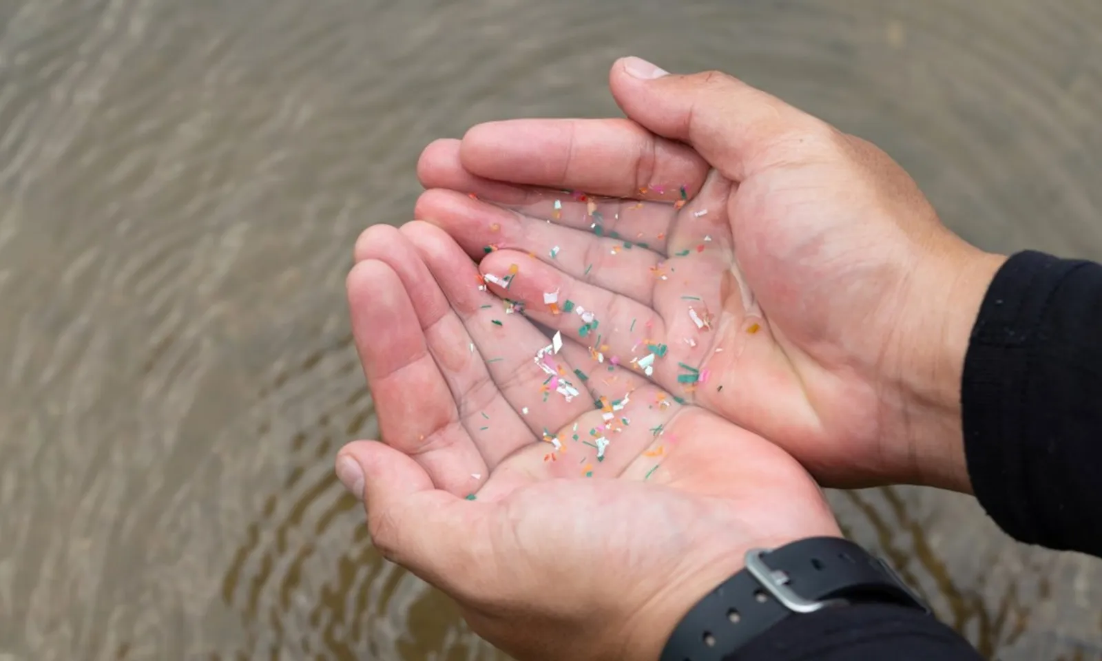 Trà nóng chứa nồng độ vi nhựa cao nhất, vượt xa cà phê và nước ngọt