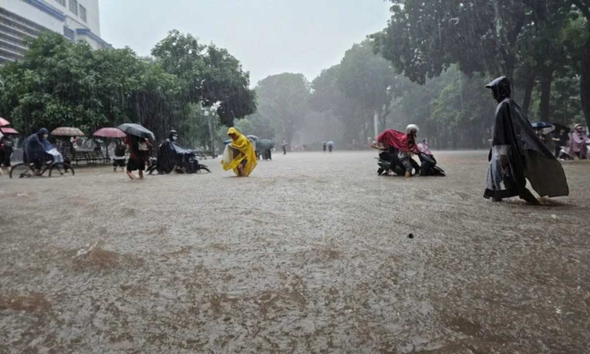 55685974112400128848218237107695449426398093n-17592306888801930144933