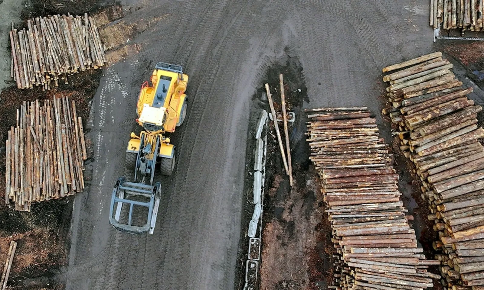 Ông Trump áp thuế 25% với nội thất, 10% với gỗ nhập khẩu | Việt Nam bị tác động mạnh