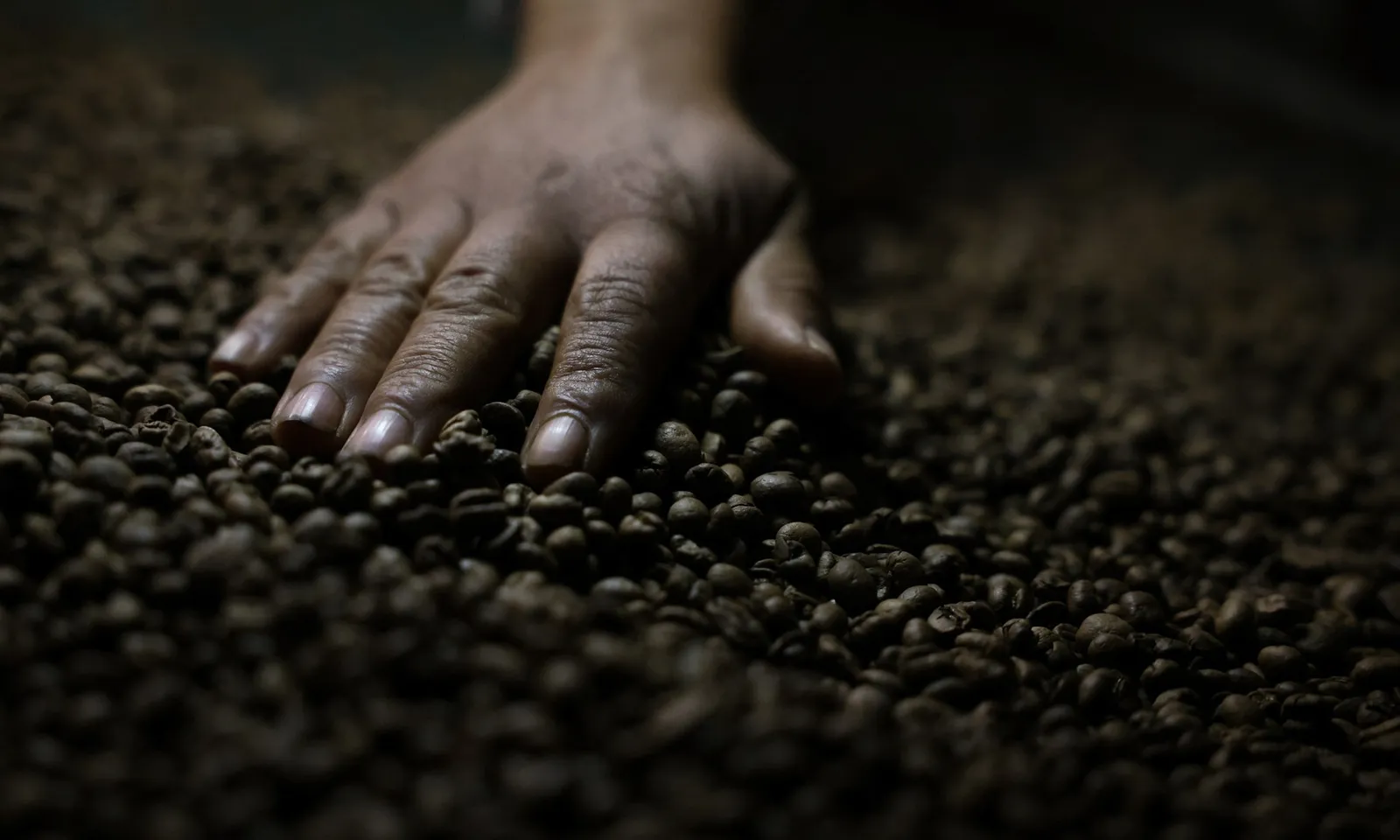 Nghịch lý: Người dân tại “cường quốc sản xuất cà phê” Brazil đang giảm tiêu thụ cà phê