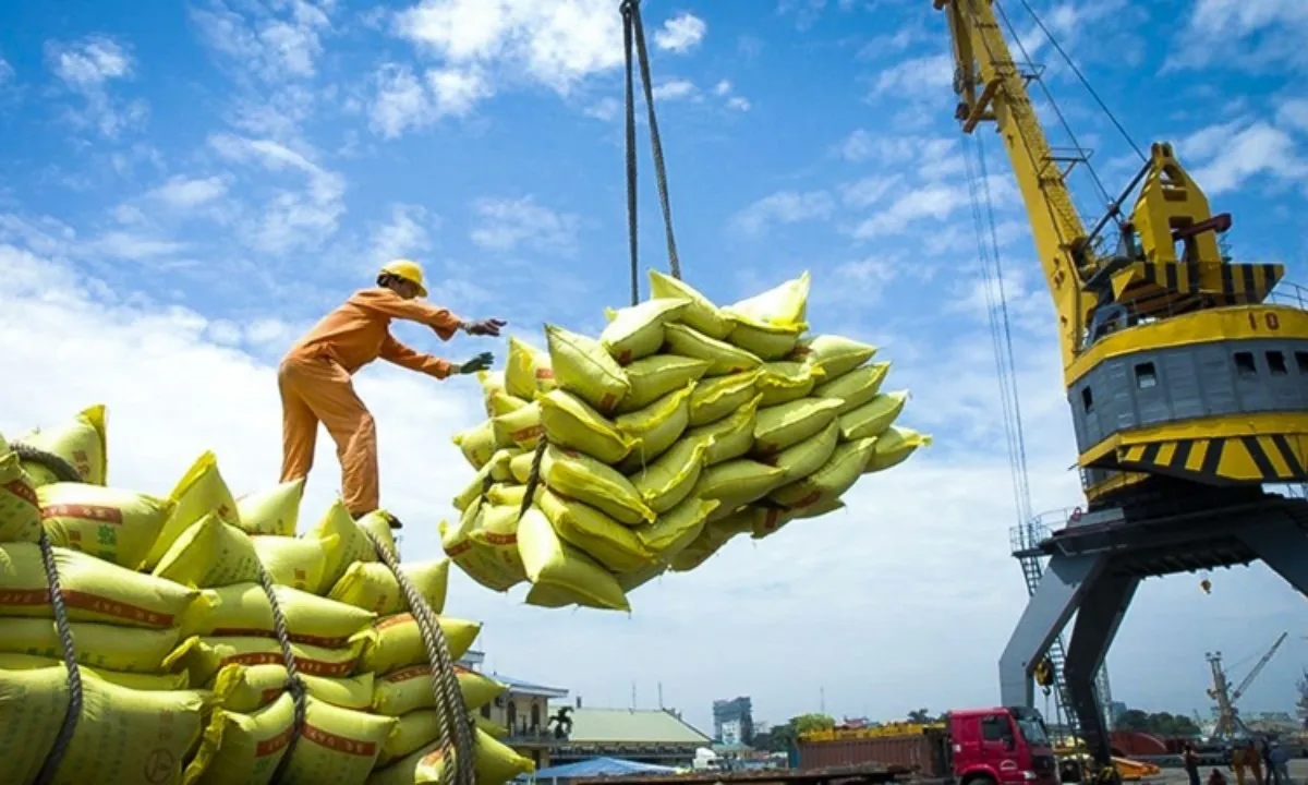 Cải cách mạnh thủ tục, siết tiêu chuẩn tín nhiệm nâng vị thế gạo Việt