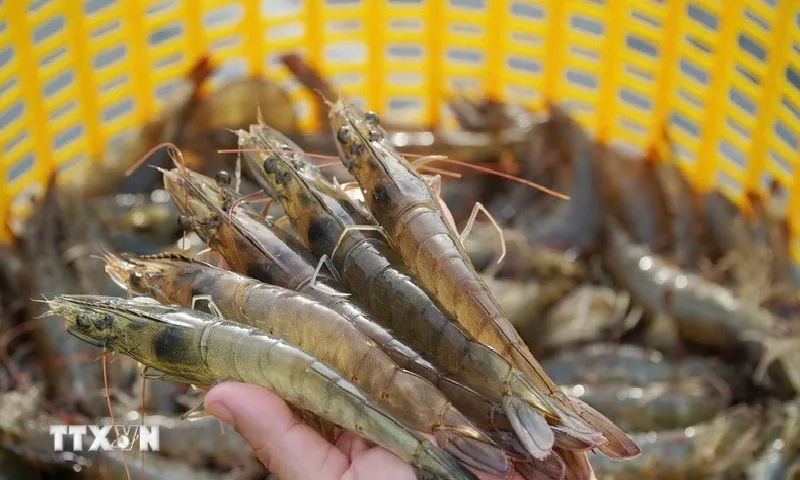 Indonesia điều tra cáo buộc nông-thủy sản xuất khẩu sang Mỹ nhiễm phóng xạ