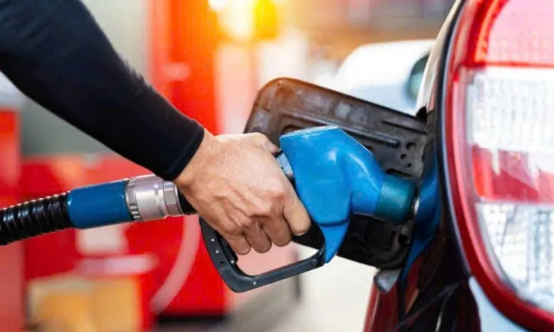 Dự báo giá xăng dầu đảo chiều đi lên