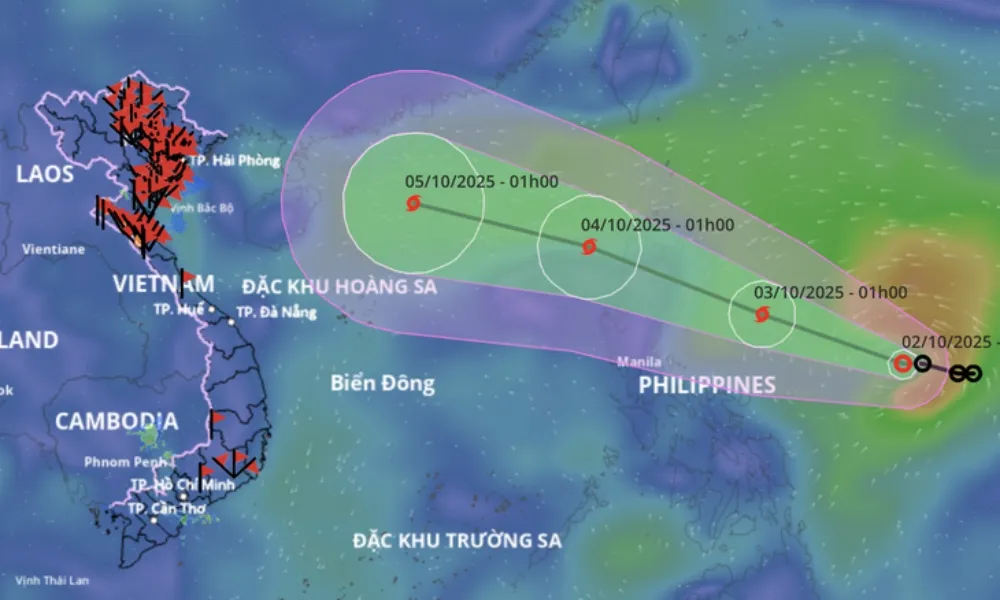 Hôm nay, áp thấp nhiệt đới có khả năng mạnh lên bão số 11