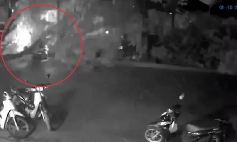 2 bà cháu bị cây lớn bật gốc đè trúng giữa trời mưa tại TPHCM