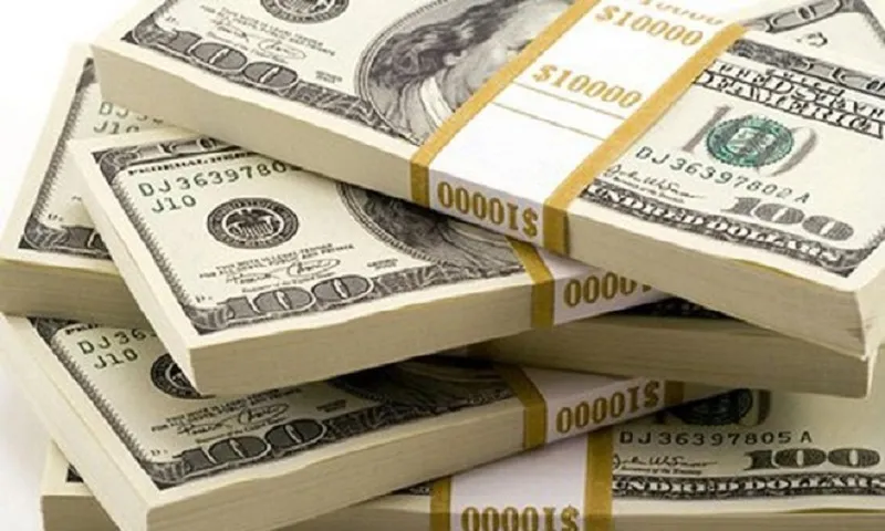 Dự trữ ngoại hối thế giới tăng vọt, tỷ trọng đồng USD giảm mạnh nhất từ 2021