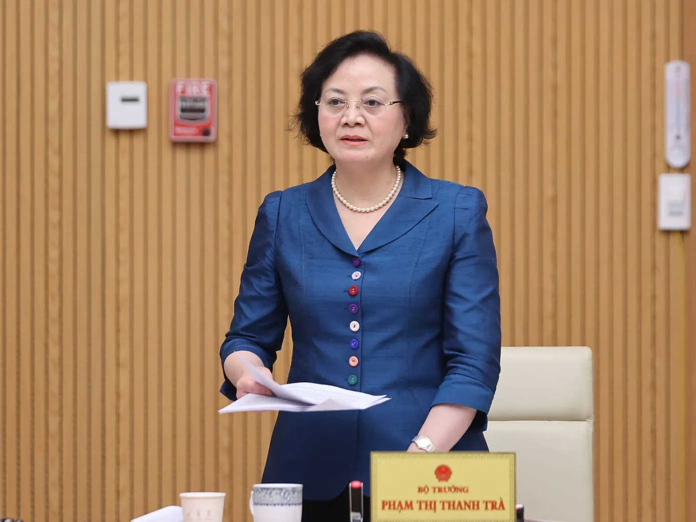Bo noi vu