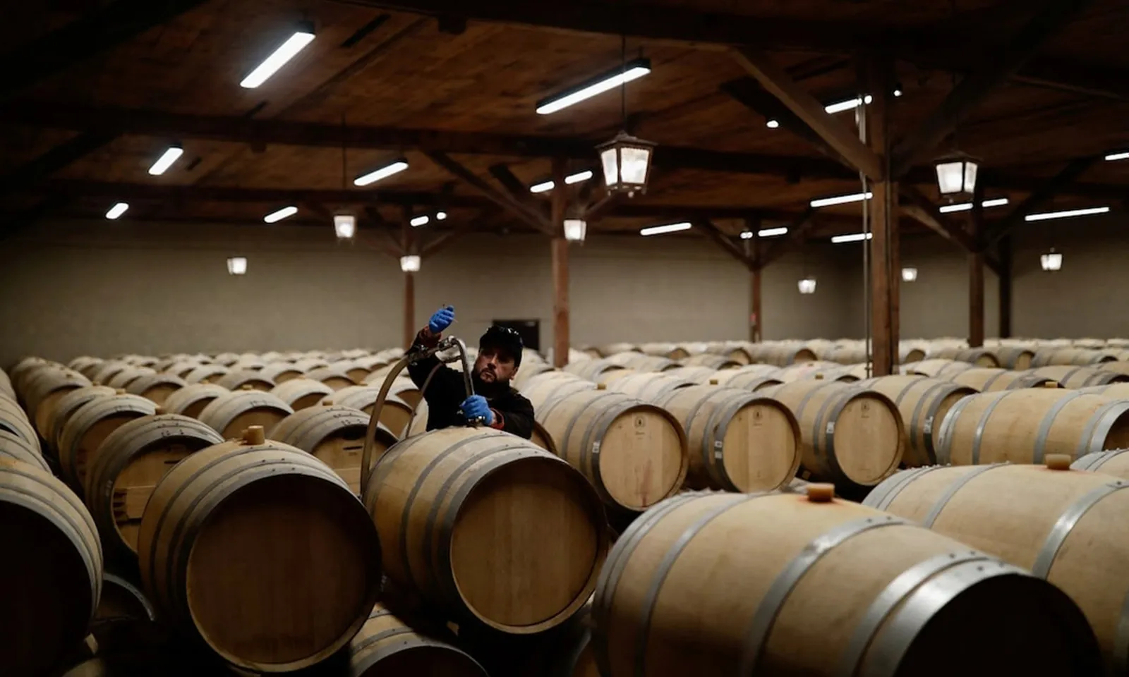 Chile đẩy mạnh xuất khẩu rượu vang sang Brazil, bù đắp sụt giảm tại thị trường Mỹ