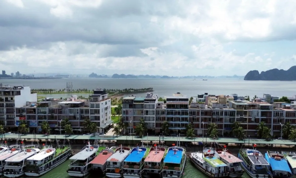 Quảng Ninh “căng mình” ứng phó bão Matmo: Tạm ngừng cấp phép thăm quan, lưu trú trên biển