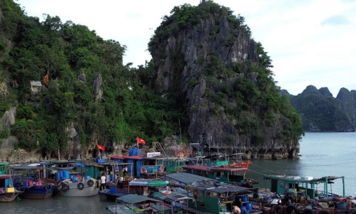 Quảng Ninh, Ninh Bình, Phú Thọ: Kiểm đếm tàu thuyền, bảo vệ hệ thống đê điều