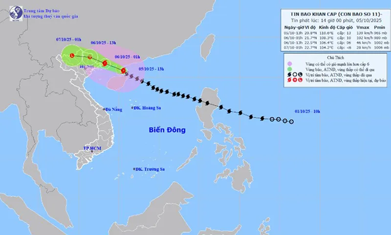 15g chiều 5/10: Bão số 11 giật cấp 16, cách Móng Cái khoảng 250km