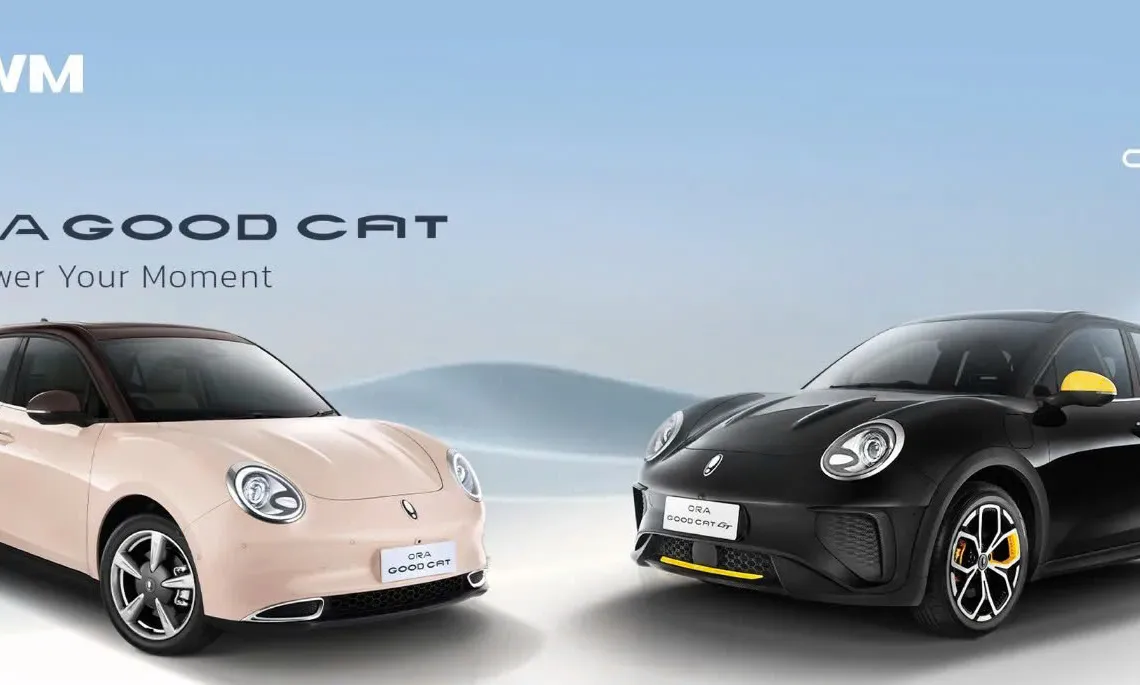 Dù phá sản hàng loạt, Trung Quốc sẽ dẫn đầu xe điện toàn cầu năm 2030?