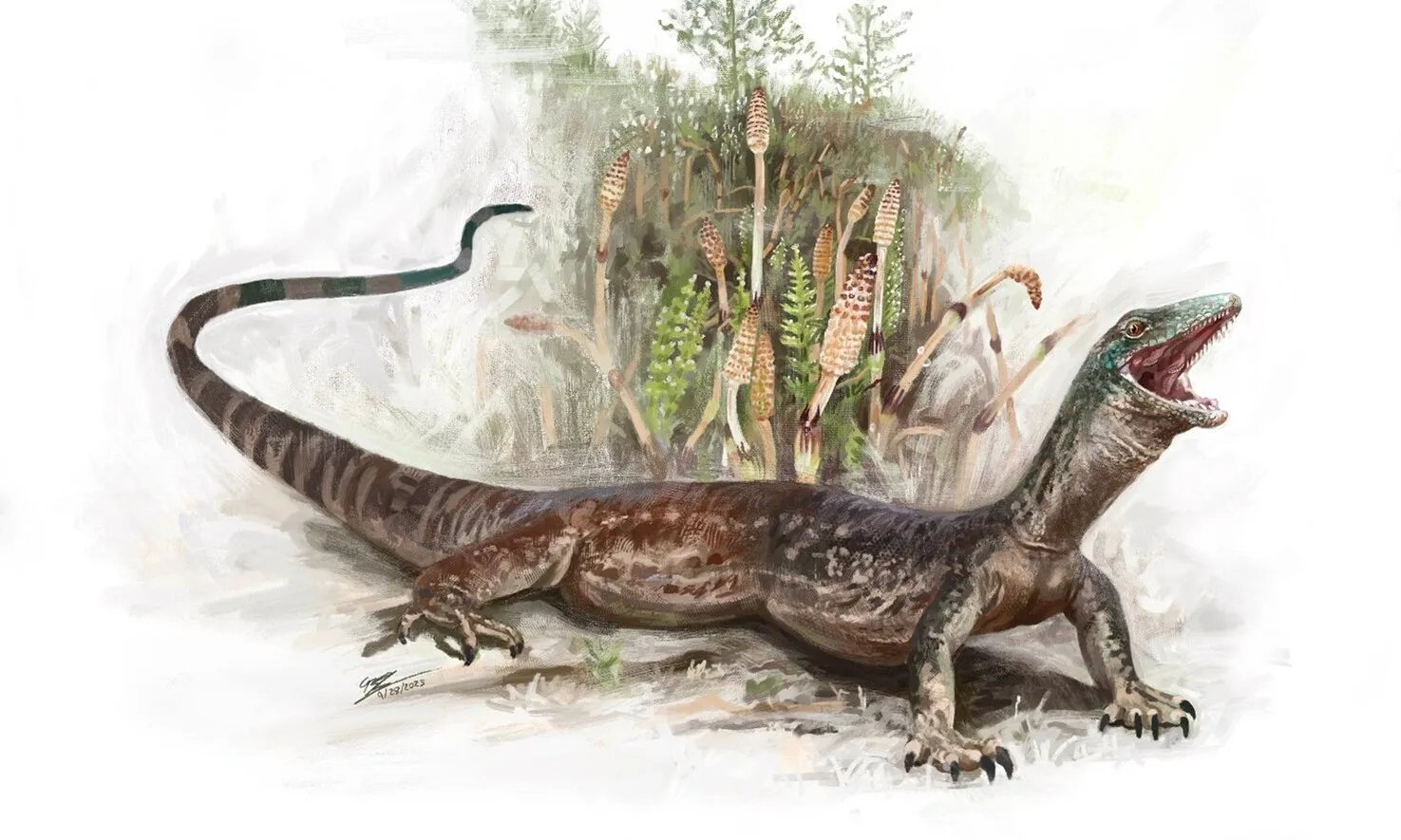 Phát hiện hóa thạch loài bò sát kỷ Jura mới tại Scotland