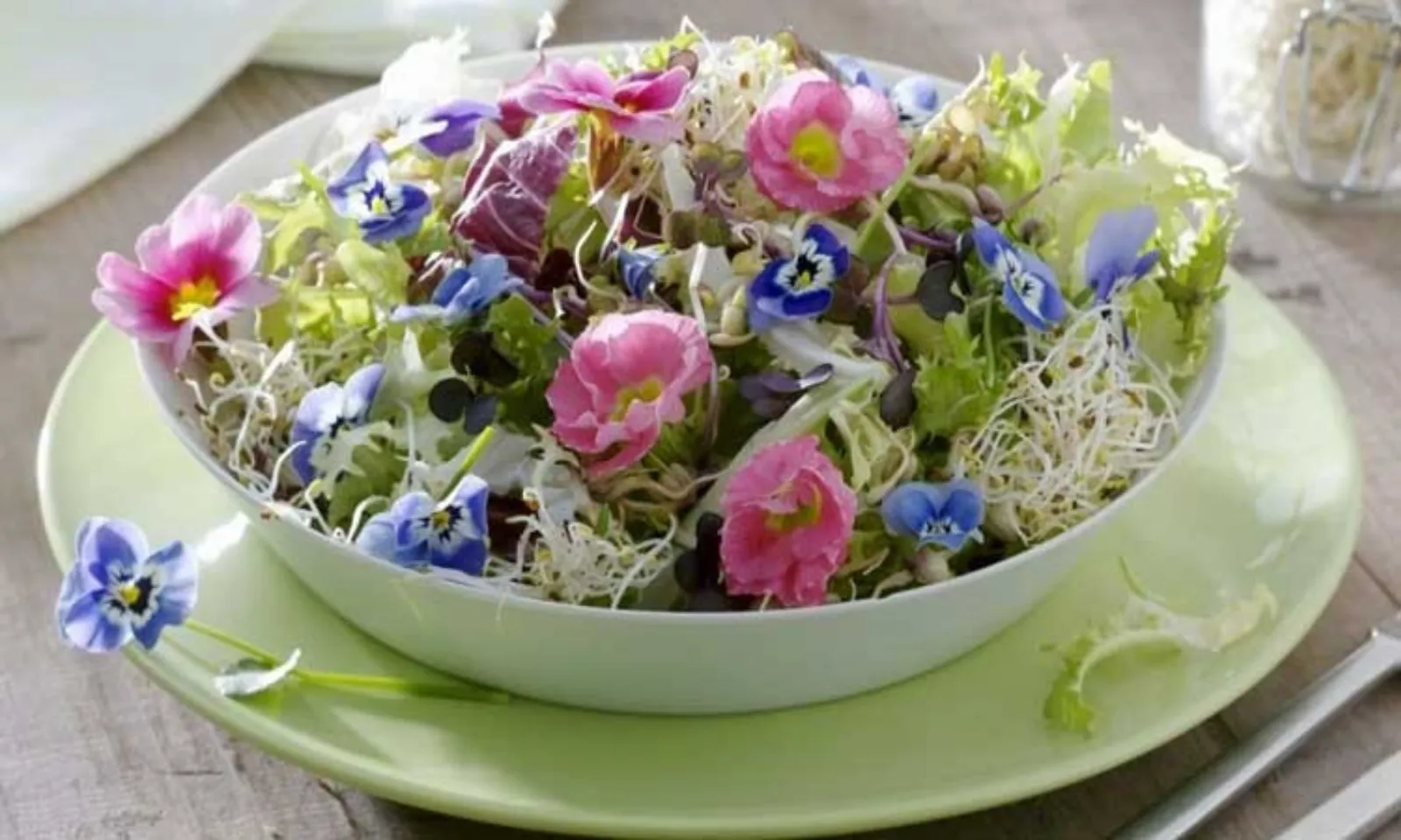 Những loại hoa có thể ăn được, tốt cho sức khỏe