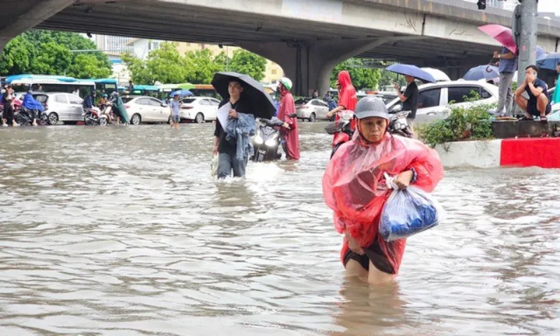 Dự báo còn 5 cơn bão trên Biển Đông, rét đậm đến sớm