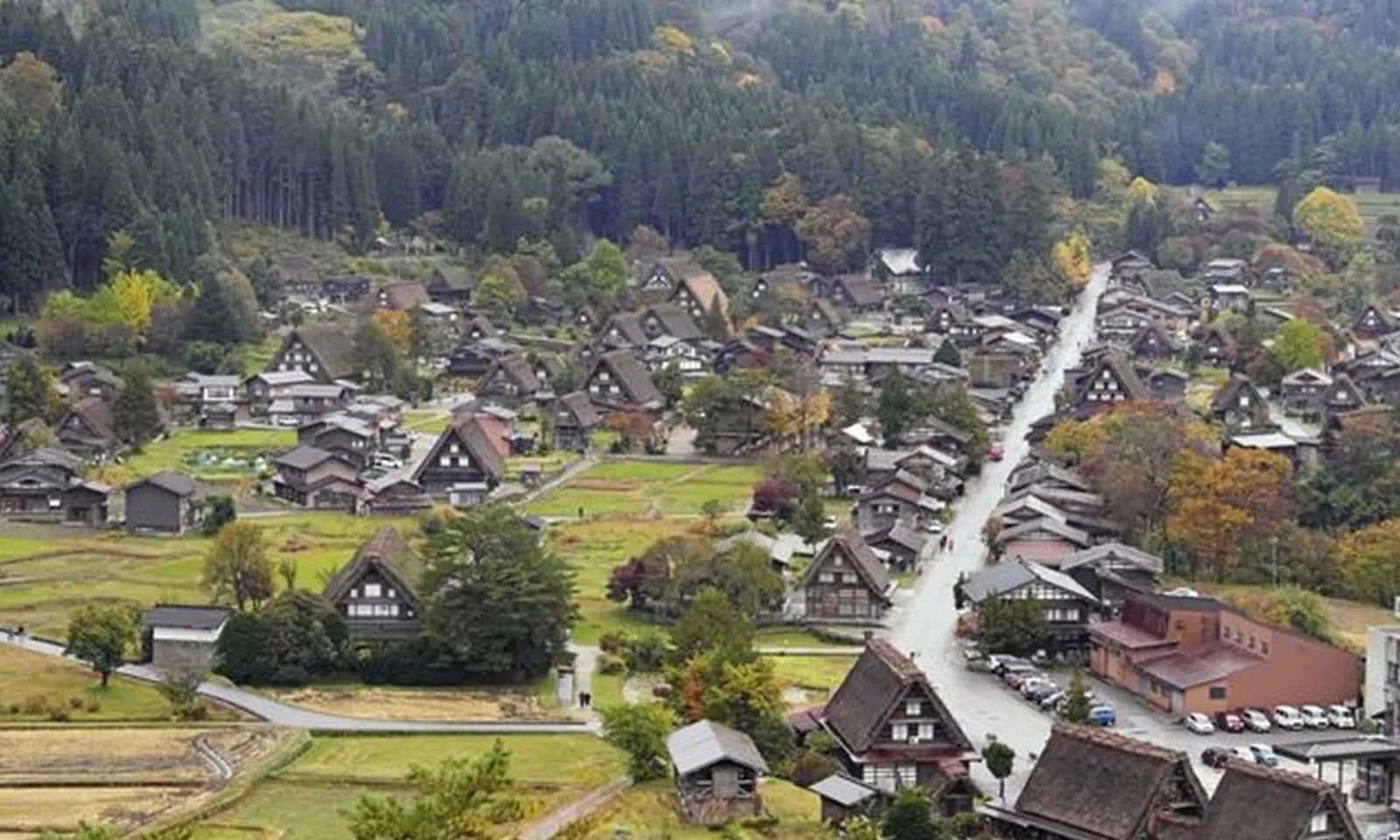 Du khách Tây Ban Nha bị gấu tấn công tại Nhật Bản