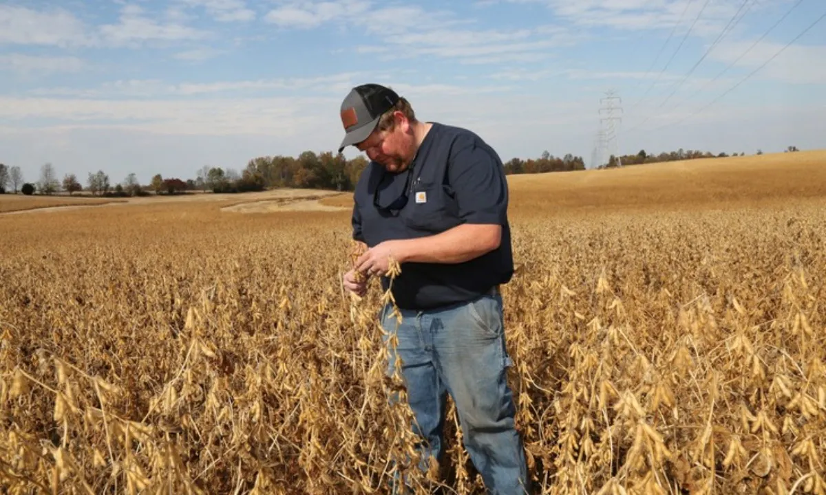 Mỹ tung gói cứu trợ 10 tỉ USD giải cứu nông dân