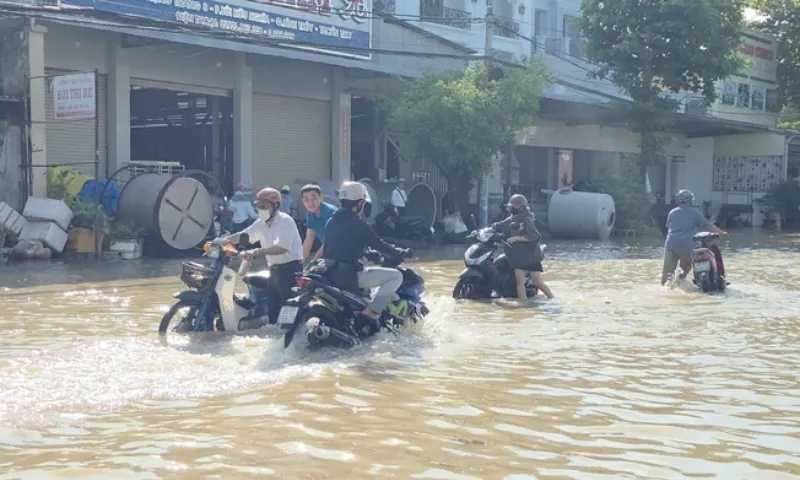 Đỉnh lũ miền Tây có nguy cơ vượt mức lịch sử 