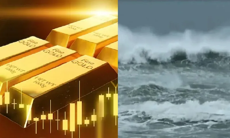 Điểm tin sáng 7/10: Giá vàng đạt kỷ lục mới | Bão Hạ Long không vào Biển Đông