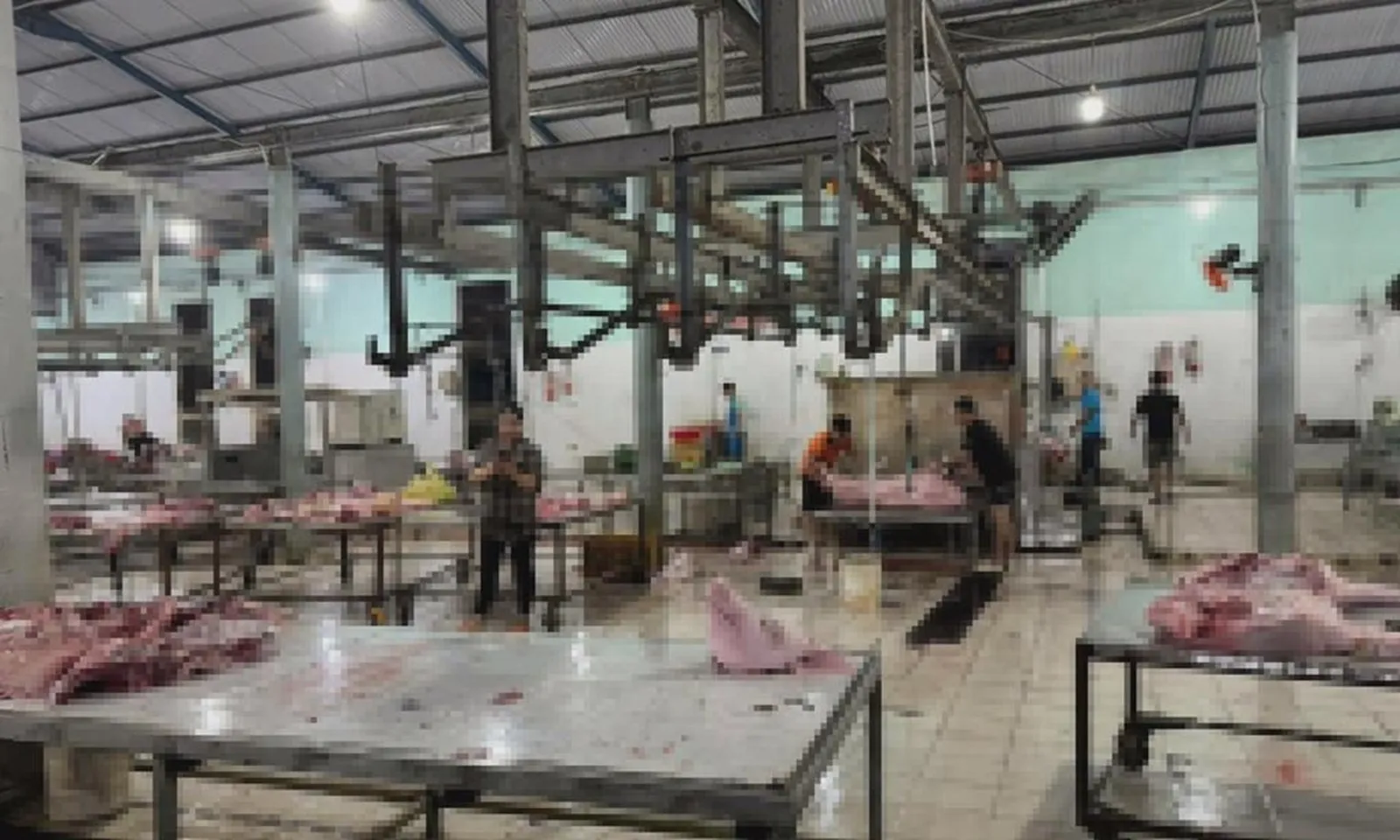 Dừng hoạt động 2 cơ sở giết mổ gia súc không phép