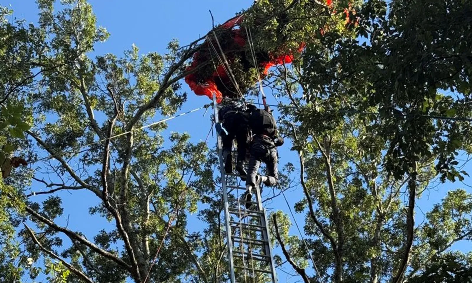 Gặp sự cố khi nhảy dù đôi, huấn luyện viên rơi xuống tử vong, học viên mắc kẹt trên cây