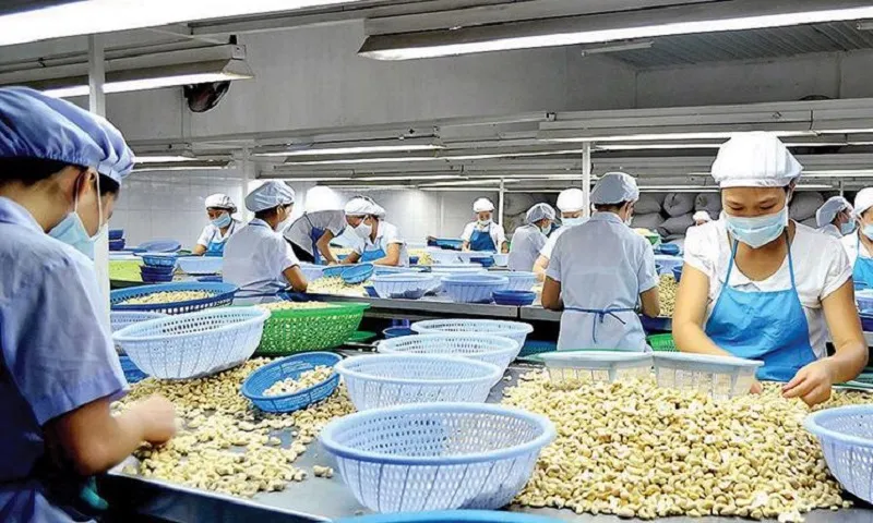 xuất khẩu tiêu điều
