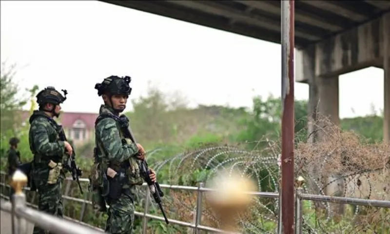 Binh si thai lam